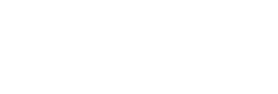 Power Book IV: Force